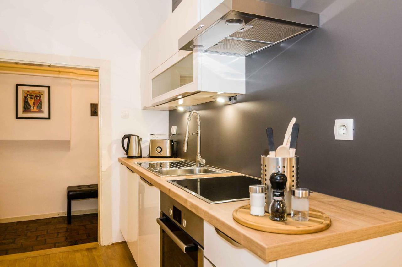 Elegant Central Apartment Lublana Zewnętrze zdjęcie