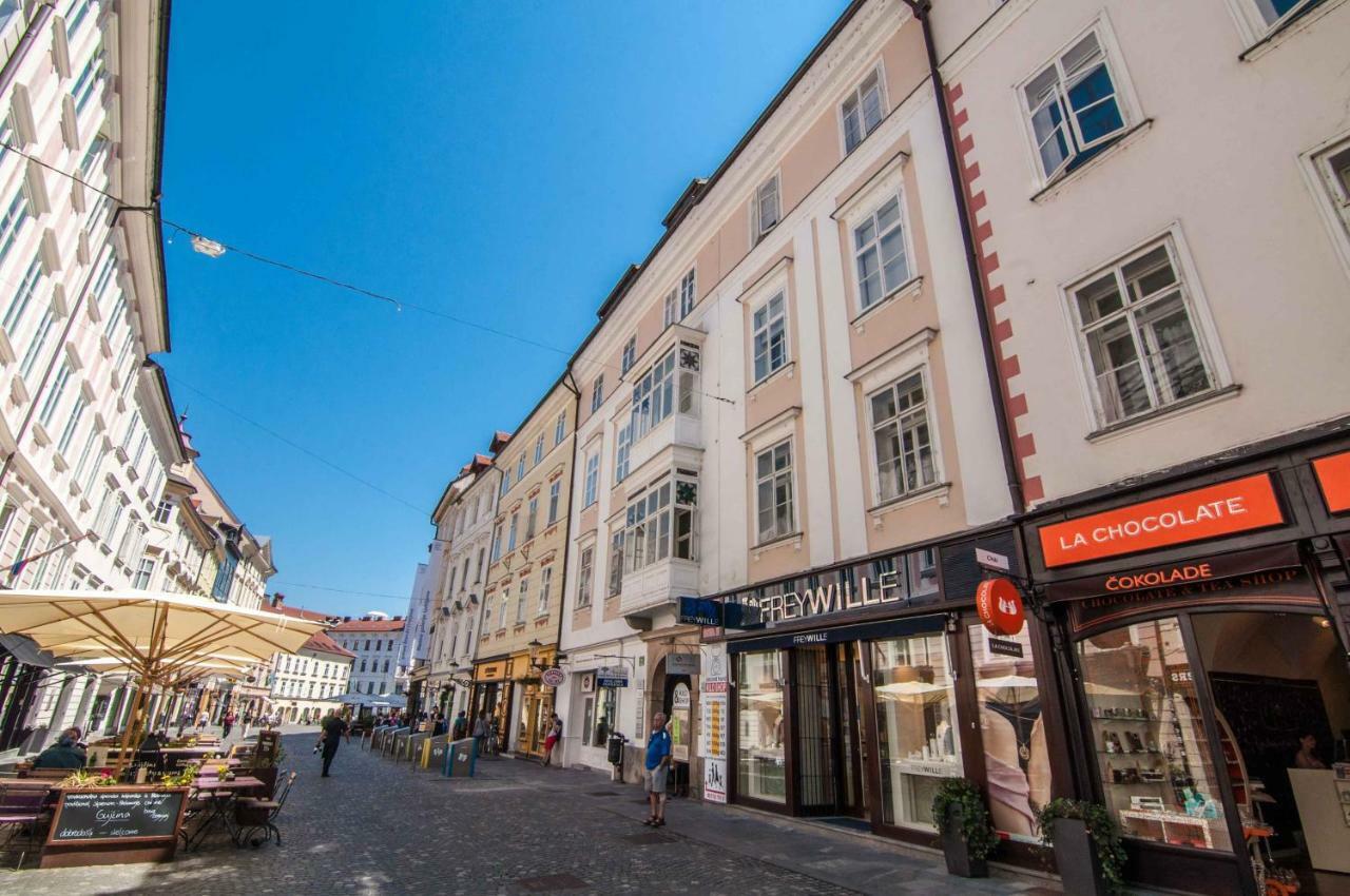 Elegant Central Apartment Lublana Zewnętrze zdjęcie