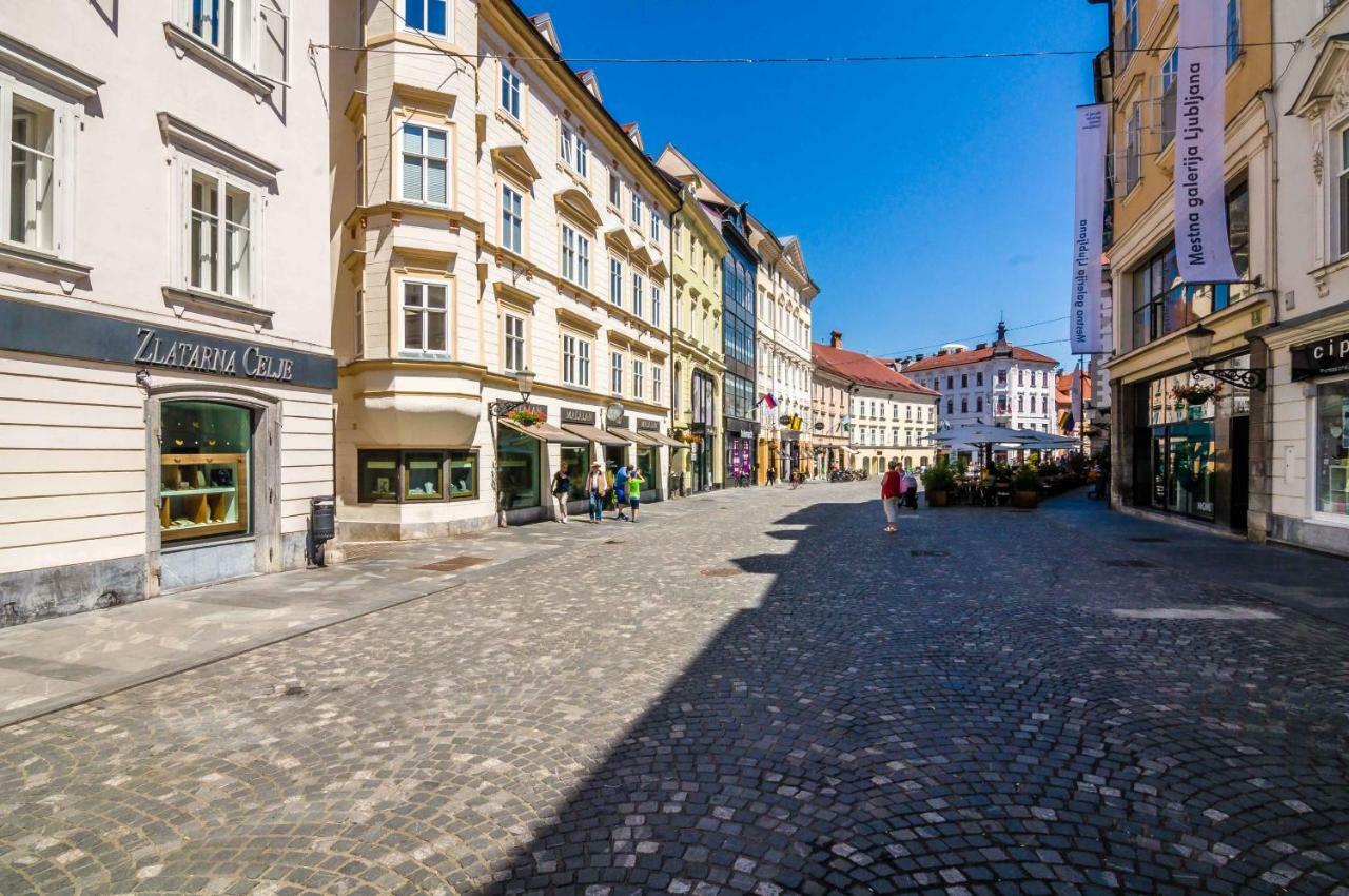 Elegant Central Apartment Lublana Zewnętrze zdjęcie